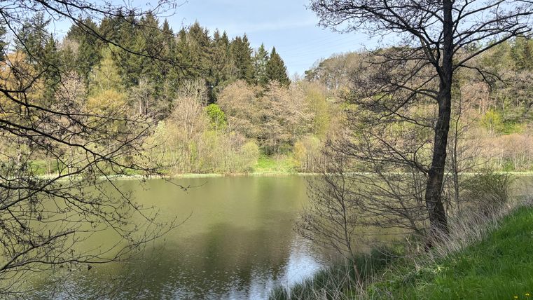 Ein ruhiger Stausee umgeben von Bäumen im Frühling.