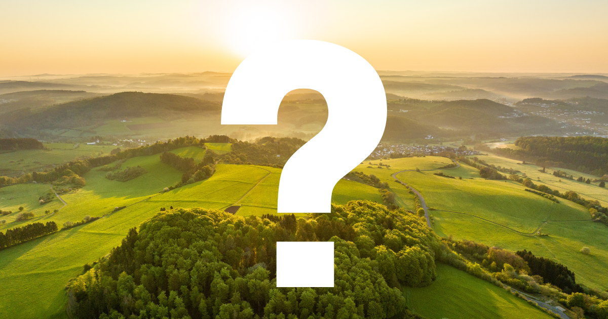 Weitläufige Wald- und Wiesenlandschaft zum Sonnenuntergang mit großem Fragezeichen im Zentrum.