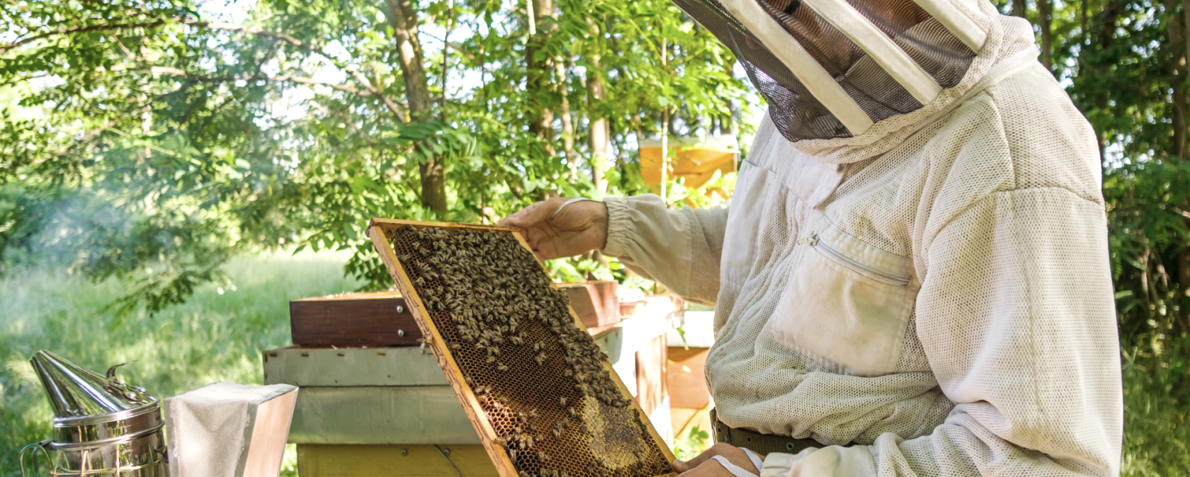 Musterbild Imker, © Canva