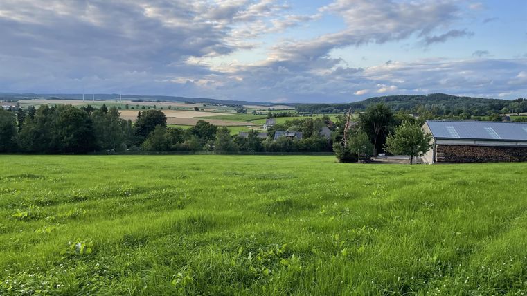 Eine weite, grüne Wiese mit einigen Bäumen und einem kleinen Gebäude im Hintergrund. Der Himmel ist teilweise bewölkt und klar.