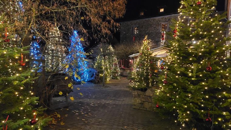 Ein festlich beleuchteter Weg mit grünen Weihnachtsbäumen. Die Lichter funkeln in der Dunkelheit und schaffen eine gemütliche Atmosphäre.