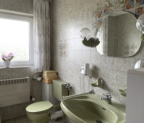 Dusche/Bad/WC G&auml;stezimmer