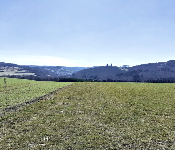 Green fields stretch as far as the horizon, where Kasselburg Castle is visible on a wooded hill. The sky is clear and blue., &copy; Touristik GmbH Gerolsteiner Land, Ute Klinkhammer