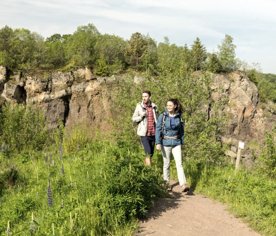 Hikers in the Steffeln volcano garden in front of the Steffelnkopf volcano., © Eifel Tourismus GmbH, Dominik Ketz