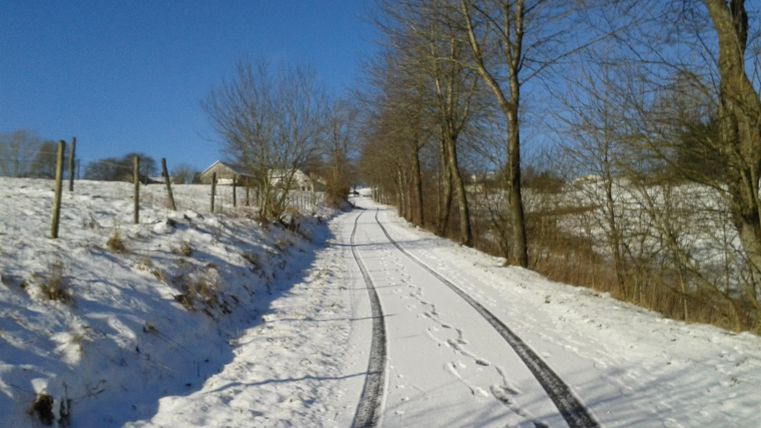 Een besneeuwde straat met voetafdrukken en bomen aan beide zijden. De lucht is helder en blauw.