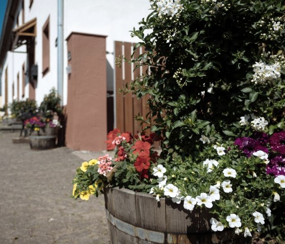 Blumen am Hoftor