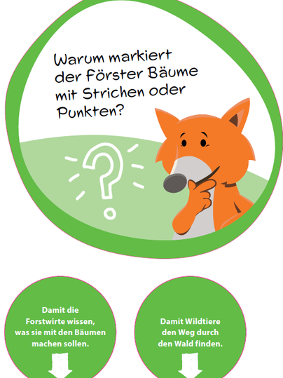 Quiz-Schild zur Baummarkierung mit Fuchs-Maskottchen.