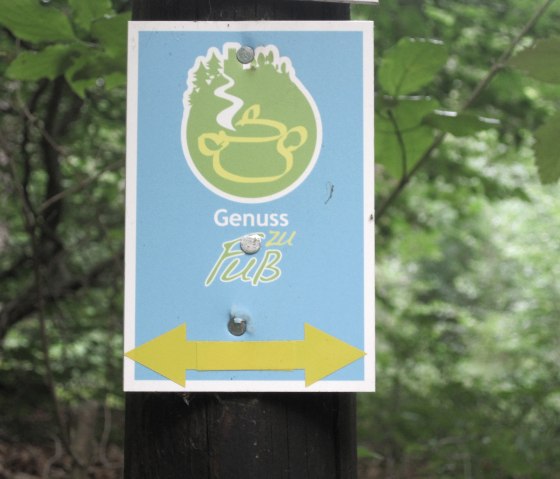 Sign with the logo 'Genuss zu Fuß' and a yellow arrow pointing left, attached to a tree trunk in the forest., © Touristik GmbH Gerolsteiner Land, Ute Klinkhammer