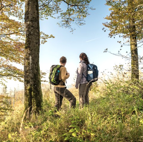Ein Mann und eine Frau in Wanderkleidung stehen am Randes eines dichten Waldes bei strahlendem Herbstwetter und schauen in die Ferne. 