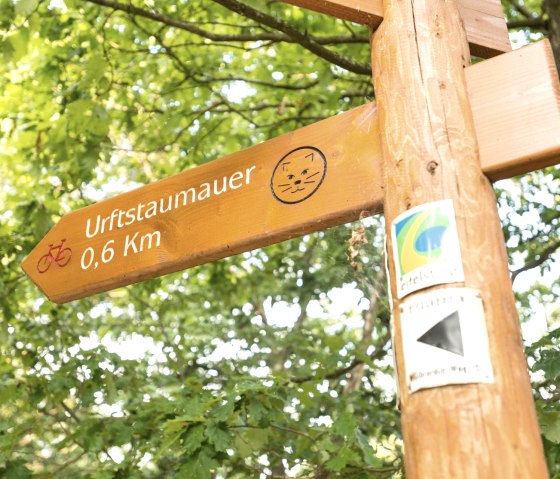 Past the wilderness trail on the Eifelsteig, &copy; Eifel Tourismus GmbH, D. Ketz
