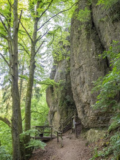 Wanderweg durch einen grünen Wald mit hohen Bäumen und einer steilen Felswand. Ein Holzgeländer und Treppen sind sichtbar.