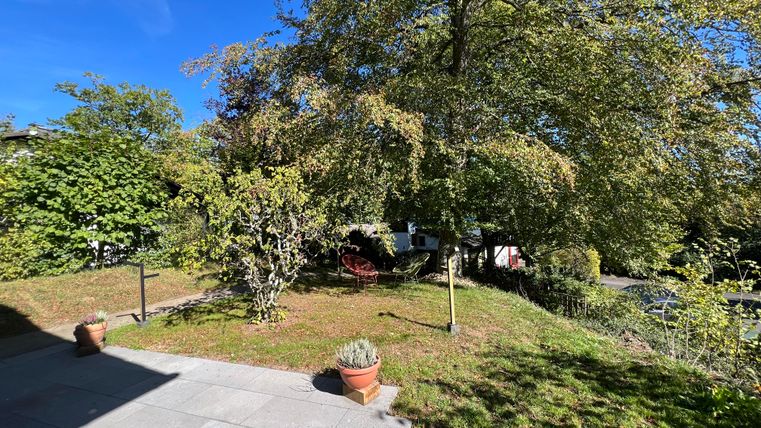 Een rustige tuin met veel groen en enkele bomen. Op de achtergrond zijn gezellige stoelen en een klein pad zichtbaar.