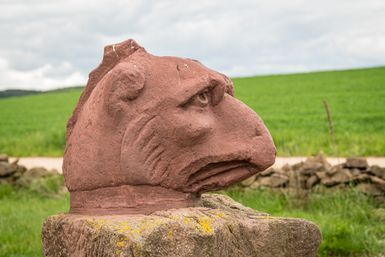 Ein aus rotem Sandstein geformter Kopf eines Greifen steht auf einem Podest. Im Hintergrund grüne Wiese.