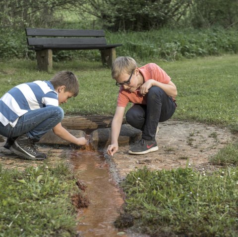 Gees, © Natur- und Geopark Vulkaneifel