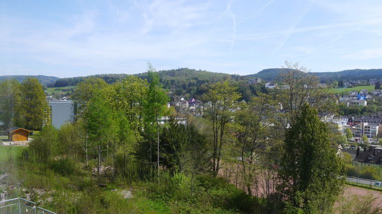 Ein schöner Blick auf eine grüne Landschaft mit sanften Hügeln und Bäumen. Im Hintergrund sind kleine Häuser zu sehen.