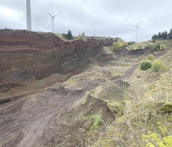 Ausblick Vulkan Goldberg, &copy; &copy;Touristik GmbH Gerolsteiner Land