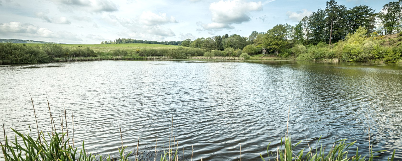 The smallest maar in the Eifel: the Eichholzmaar, © Eifel Tourismus GmbH, Dominik Ketz