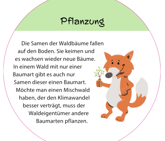 Informationsschild "Pflanzung" mit Fuchs-Maskottchen. 