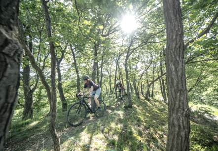 Twee fietsers op gravel fietsen over een smal natuurpad midden door een dicht bos. De zon schijnt door de bomen.