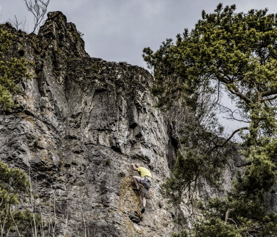 A man, secured with harnesses, climbs up a steep rock face surrounded by trees.