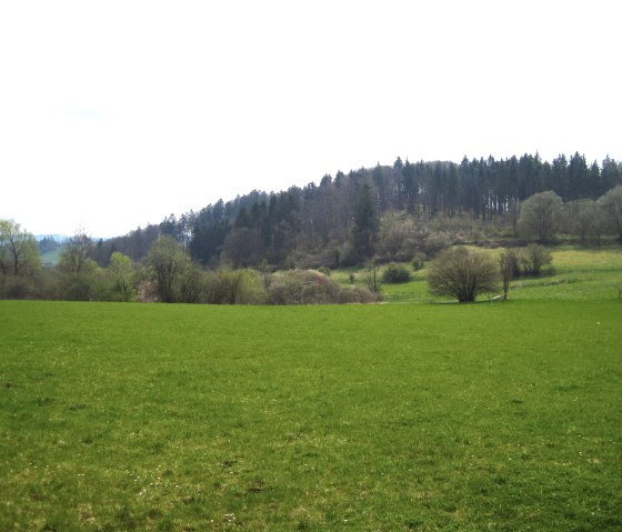 Grüne Wiese mit Bäumen und Hügeln im Hintergrund, bewölkter Himmel., © Touristik GmbH Gerolsteiner Land, Ute Klinkhammer