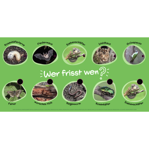 Gro&szlig;es Quiz-Schild zu "Wer frisst wen?" 
