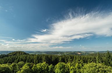 Blick von oben auf eine weitläufige blühende Waldlandschaft unter einem mit leichten Wolken durchzogenem Himmel.
