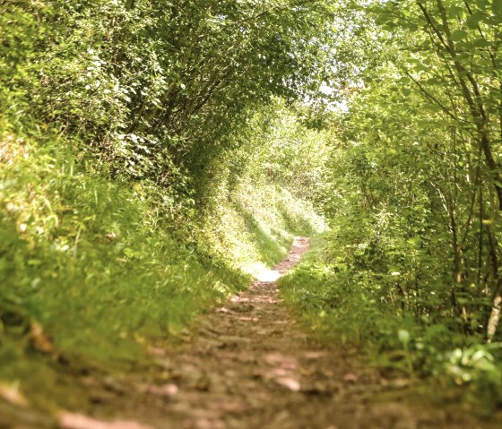 Wanderweg Dolomiten, &copy; Thomas Hendele