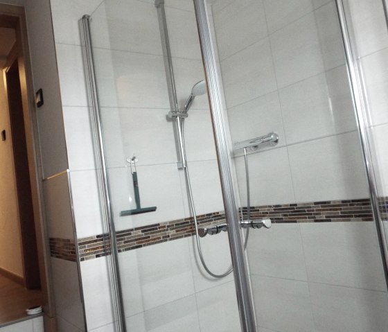Dusche im Bad
