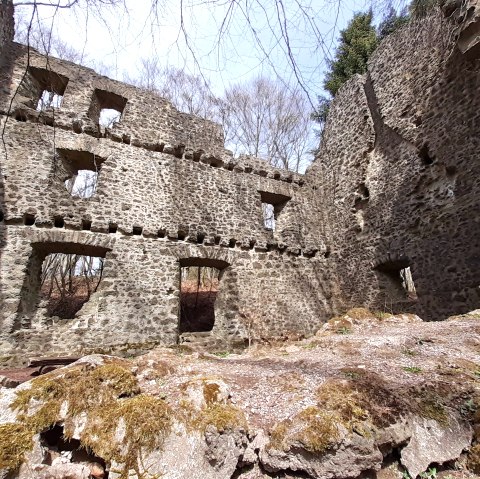 Burgruine Freudenkoppe, © Touristik GmbH Gerolsteiner Land, Ute Klinkhammer