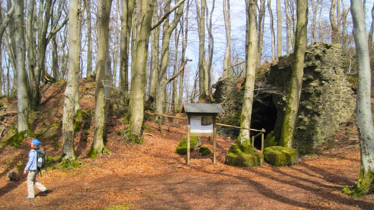 Persoon loopt door een bos met kasteelruïnes.