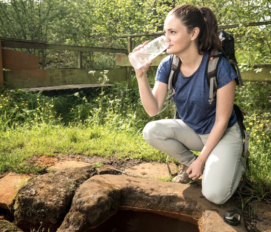 Steffelner Drees, &copy; Eifel Tourismus GmbH, Dominik Ketz