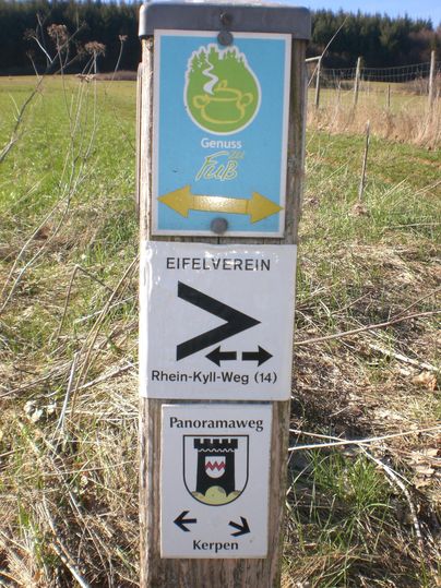 Ein Wegweiserschild in der Natur mit mehreren Schildern für Wanderwege. Es zeigt Wege zu verschiedenen Zielen, darunter den Rhein-Kyll-Weg und den Panoramaweg.