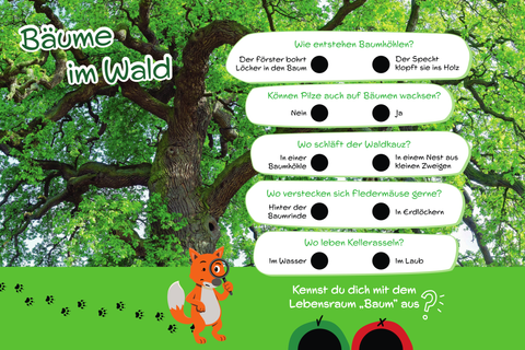 Großes Quiz-Schild zu "Bäume im Wald" mit Entweder/Oder-Fragen.