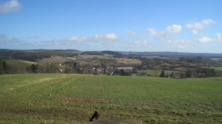 Landschaft mit grünen Feldern und Hügeln unter blauem Himmel.