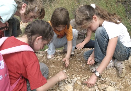 6 children kneel in a circle on a mound of rocks and look at them closely.