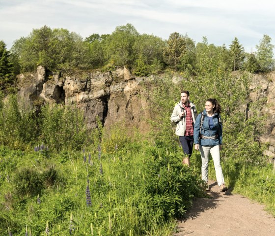 Wandelen door de Steffelnkopf op het vulkaanpad, © Eifel Tourismus GmbH, D. Ketz