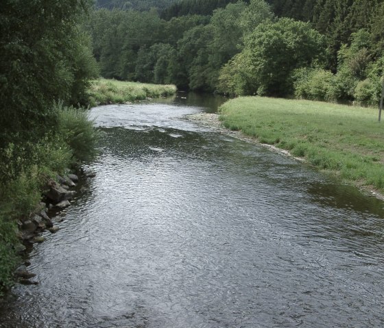 Ein ruhiger Fluss fließt durch eine grüne Landschaft, umgeben von Bäumen und Wiesen. Der Himmel ist nicht sichtbar., © Touristik GmbH Gerolsteiner Land