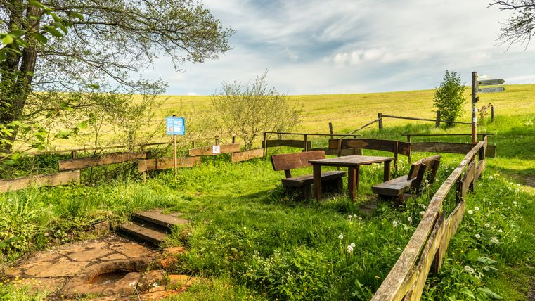 Ein Rastplatz mit Holzbänken und Tisch in einer grünen Wiese, umgeben von Bäumen und einem Wegweiser.