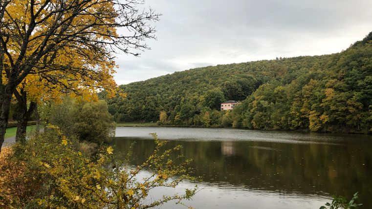 Herbstlandschaft am Wirftstausee in Stadtkyll mit buntem Laub und bewaldeten Hügeln.
