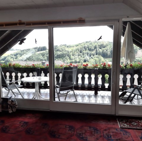 Ausblick