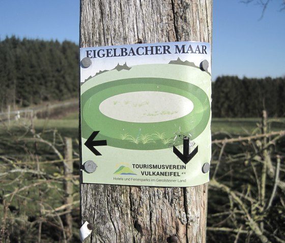 Schild am Baum mit Wegweiser zum Eigelbacher Maar, umgeben von Wald und Wiesen in der Vulkaneifel., © Touristik GmbH Gerolsteiner Land, Ute Klinkhammer