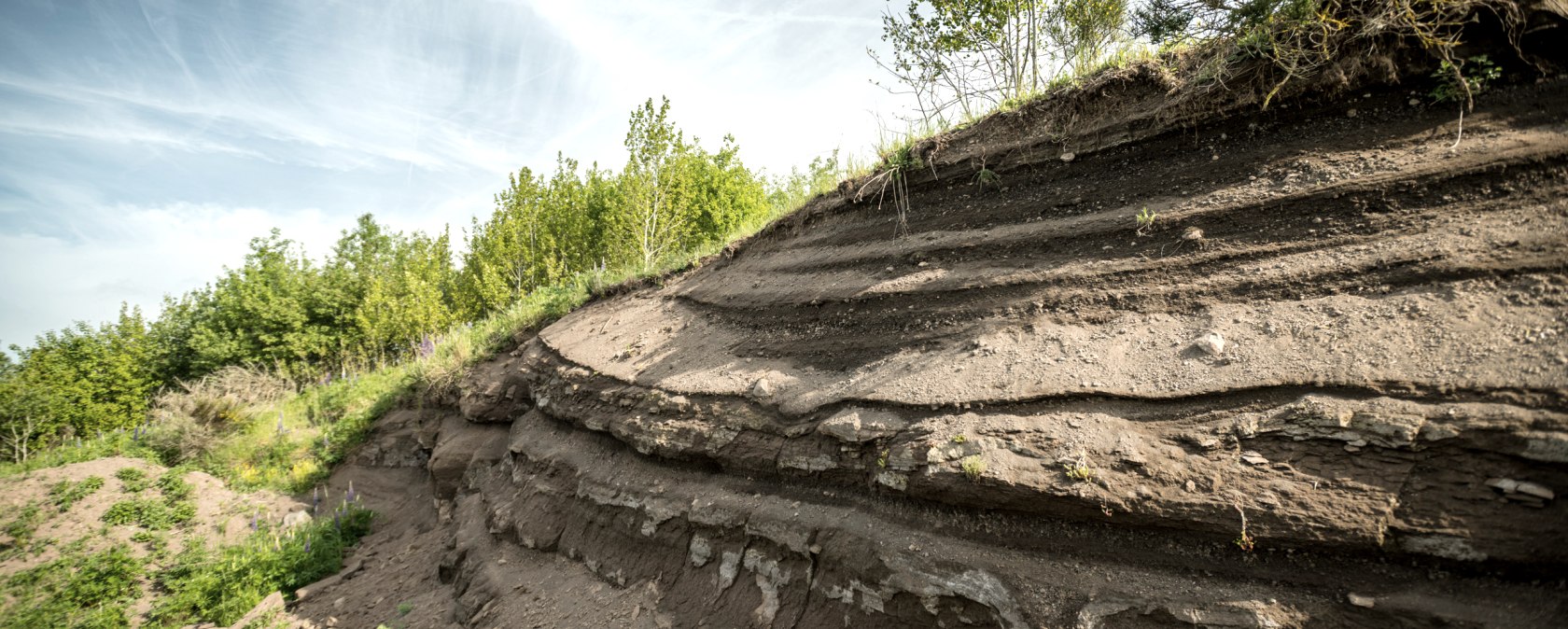 Schichtungen von vulkanischem Gestein in einer Landschaft mit B&auml;umen und blauem Himmel.