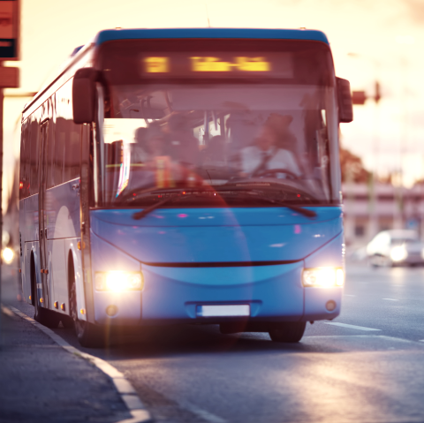 Bus