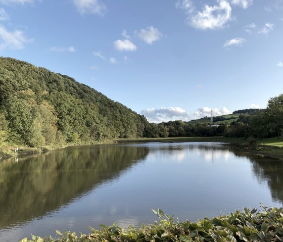 Ein ruhiger Stausee mit spiegelndem Wasser, umgeben von grünen Bäumen und Hügeln unter einem klaren blauen Himmel., © Touristik GmbH Gerolsteiner Land, Leonie Post