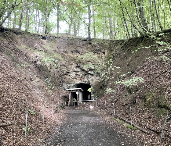 A wooden tunnel entrance in the Arensberg volcanic quarry, surrounded by rocks and foliage. A sign warns that entry is at your own risk., &copy; Touristik GmbH Gerolsteiner Land
