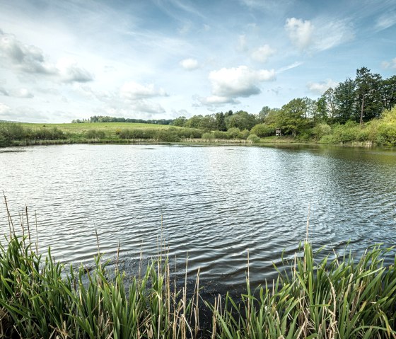 Vulcanpfad, Eichholzmaar, &copy; Eifel Tourismus GmbH, Dominik Ketz