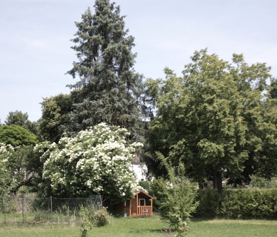 Blick von der Terrasse in den Garten