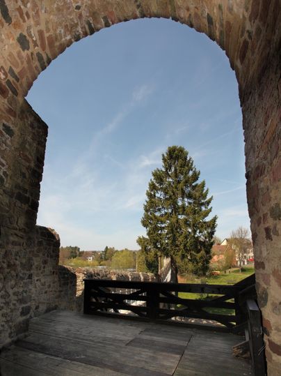 Blick durch einen steinernen Torbogen auf einen großen Baum und eine grüne Landschaft in Hillesheim. Der Himmel ist klar und blau.