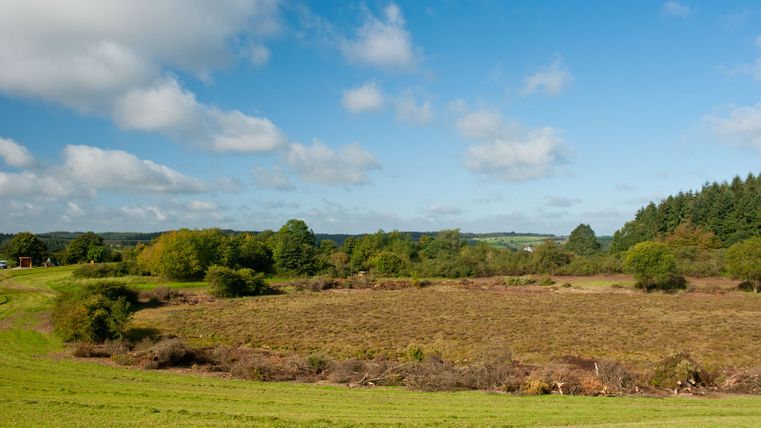 Landschap met weiden, bomen en blauwe lucht.